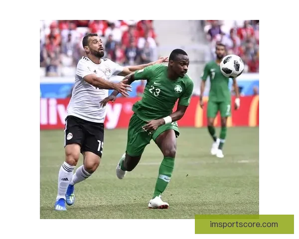 IM体育平台靠谱吗？全面解析真实性与可靠性分析